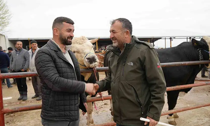 850 Kilogramlık Tosun 340 Bin Liraya Alıcı Buldu