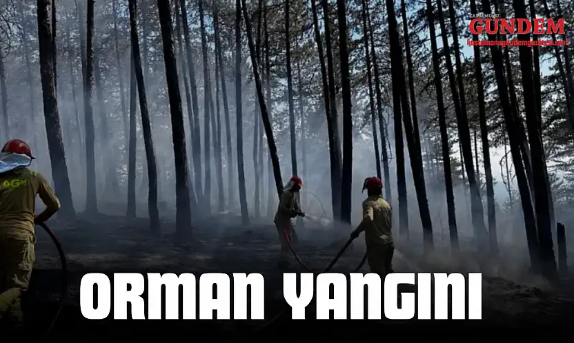 Kastamonu'da Orman Yangını