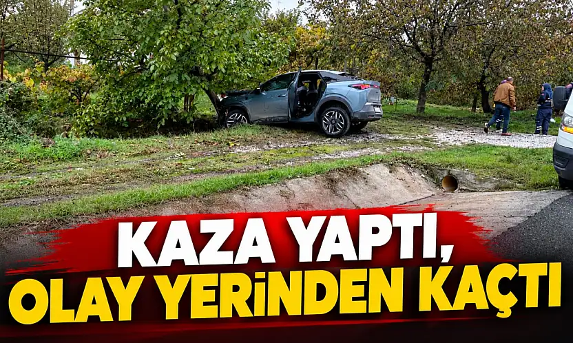 Kaza Yaptı, Olay Yerinden Kaçtı