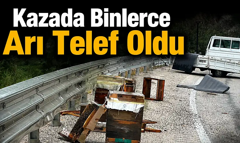 Kazada Binlerce Arı Telef Oldu