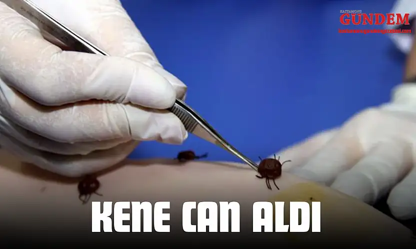 Kene Can Aldı