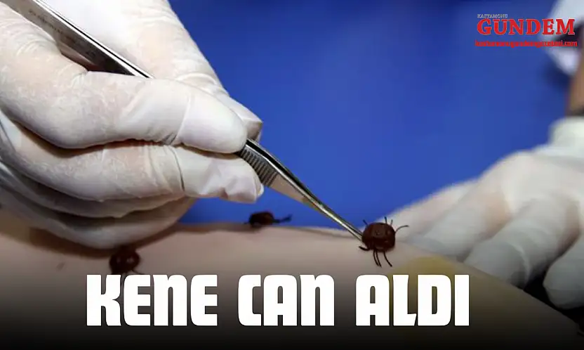 Kene Can Aldı