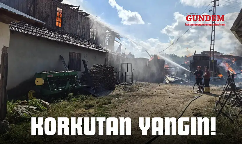 Korkutan Yangın!