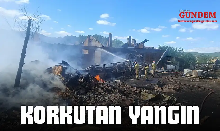 Korkutan Yangın