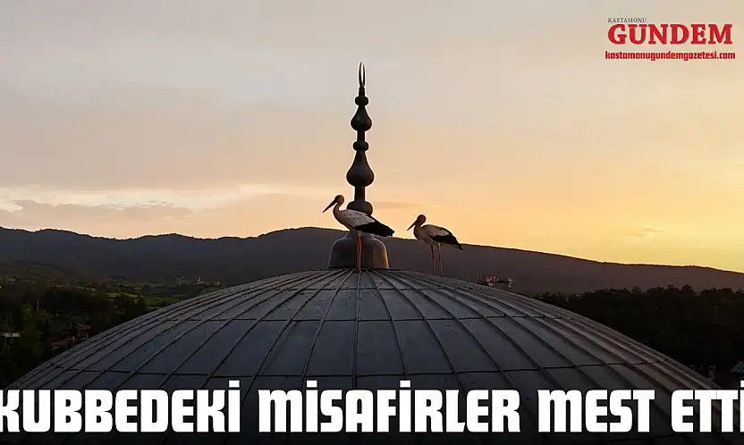 Kubbedeki Misafirler Mest Etti
