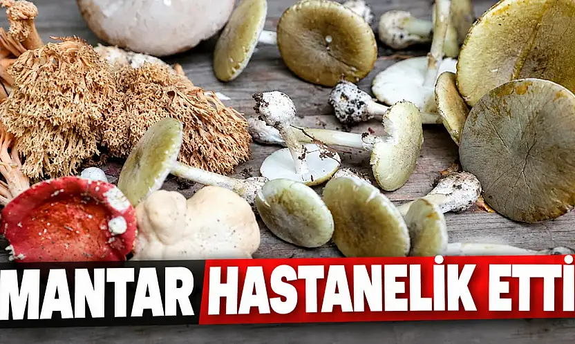 Mantar Hastanelik Etti