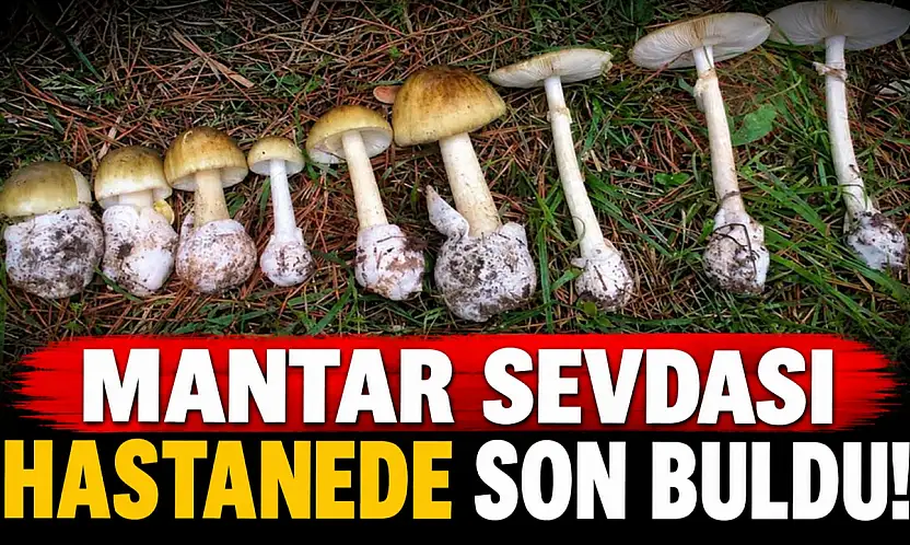 Mantar Sevdası Hastanede Son Buldu!