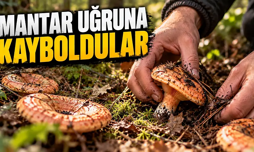 Mantar Uğruna Kayboldular