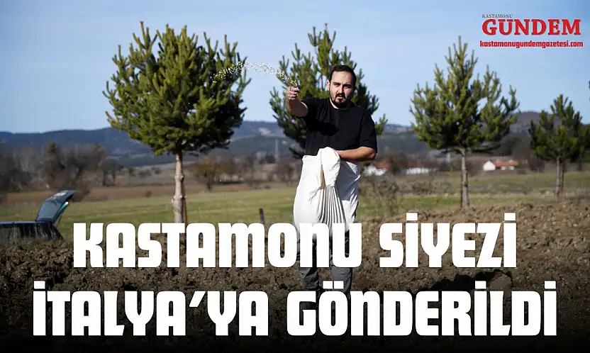 Midesinde Siyez Çıkan Mumya Sonrası Kastamonu Siyezi İtalya'ya Gönderildi