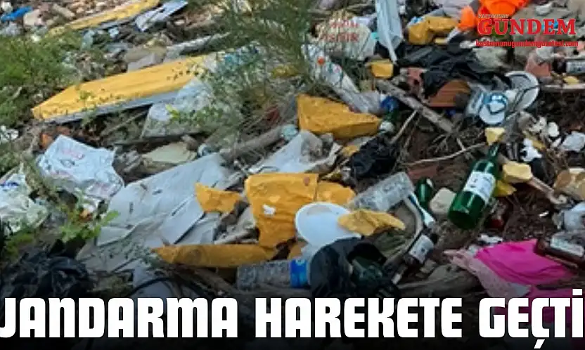 O Görüntülerin Ardından Jandarma Harekete Geçti