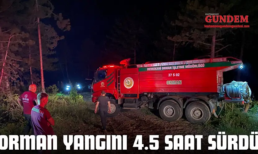 Orman Yangını 4.5 Saat Sürdü