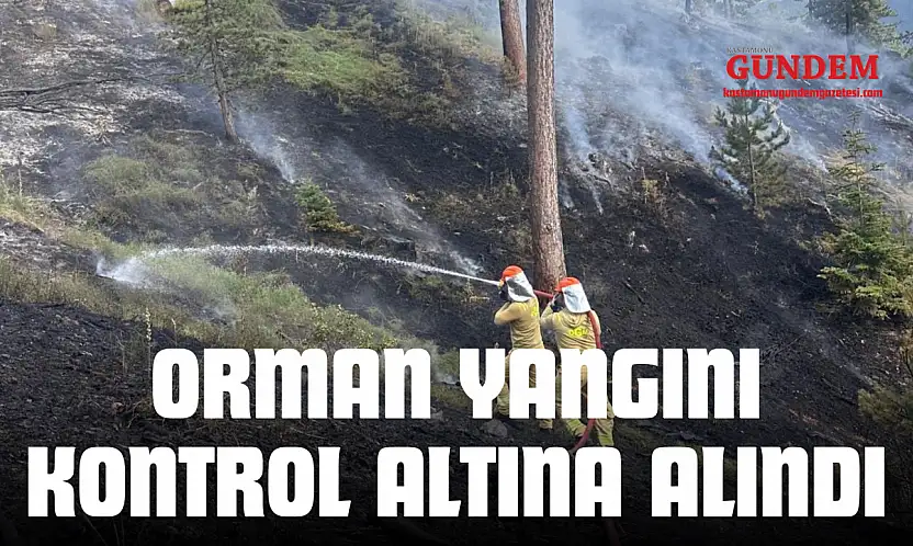 Orman Yangını Kontrol Altına Alındı