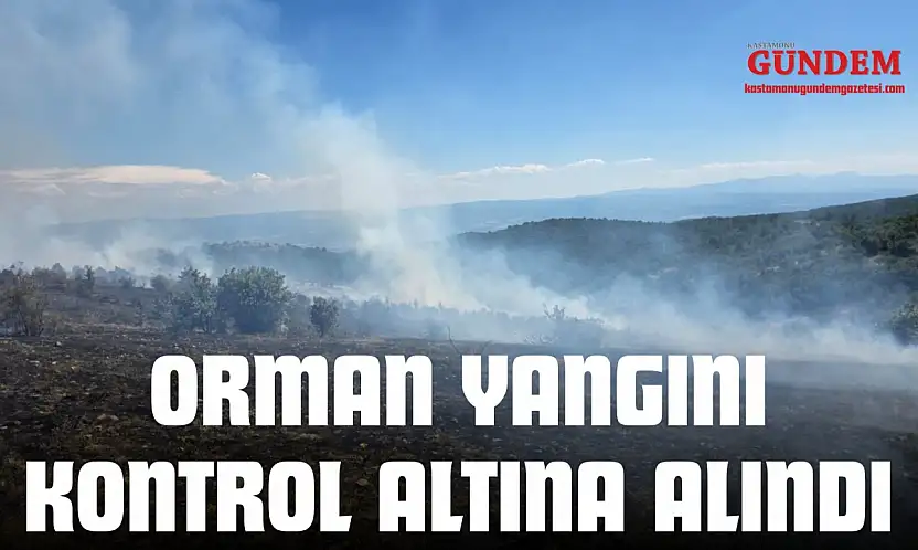 Orman Yangını Kontrol Altına Alındı