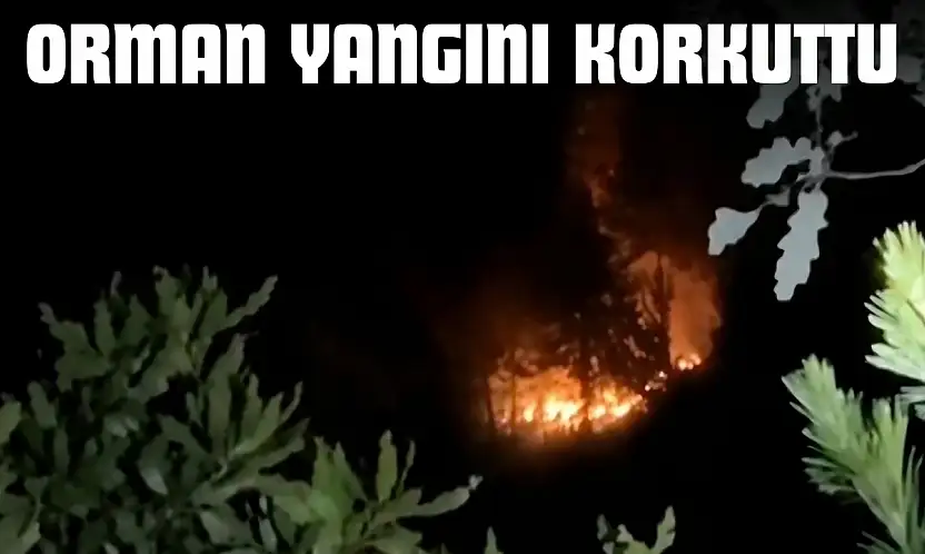 Orman Yangını Korkuttu