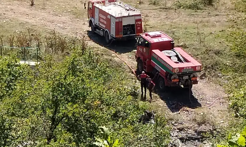 Orman Yangını Korkuttu!