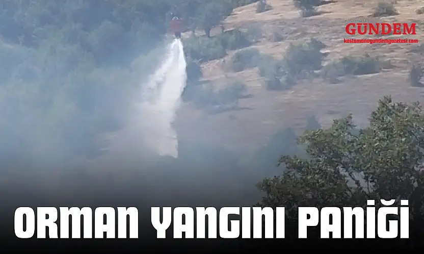 Orman Yangını Paniği