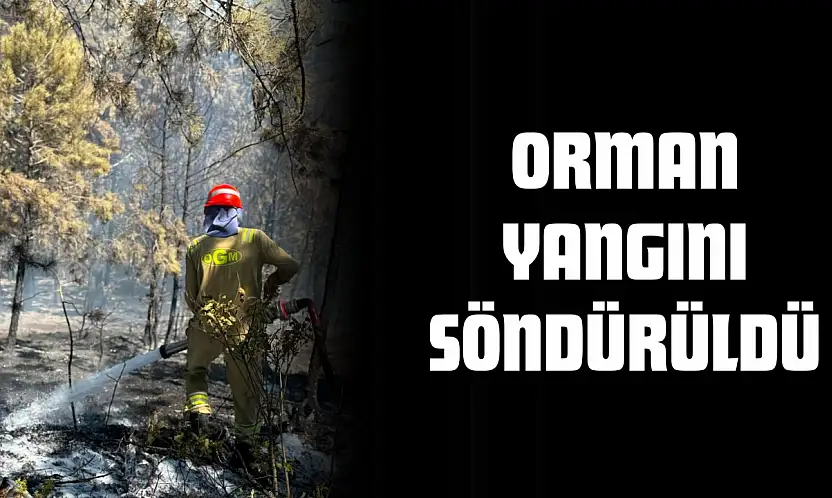 Orman Yangını Söndürüldü