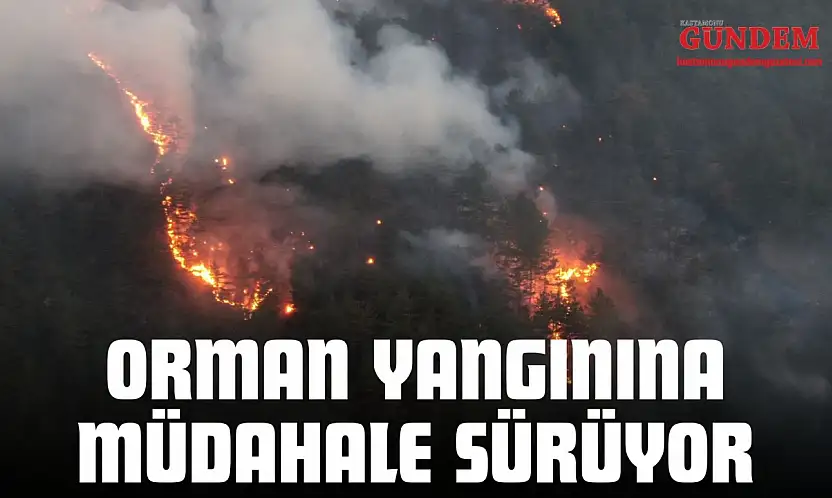 Orman Yangınına Müdahale Sürüyor
