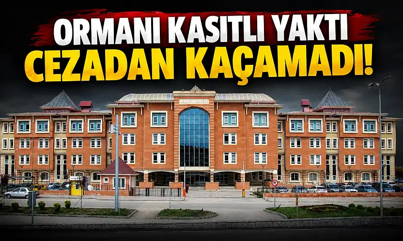 Ormanı Kasıtlı Yaktı, Cezadan Kaçamadı!