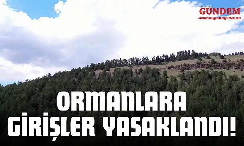 Ormanlara Girişler Yasaklandı!