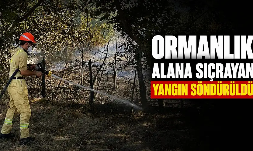 Ormanlık Alana Sıçrayan Yangın Söndürüldü