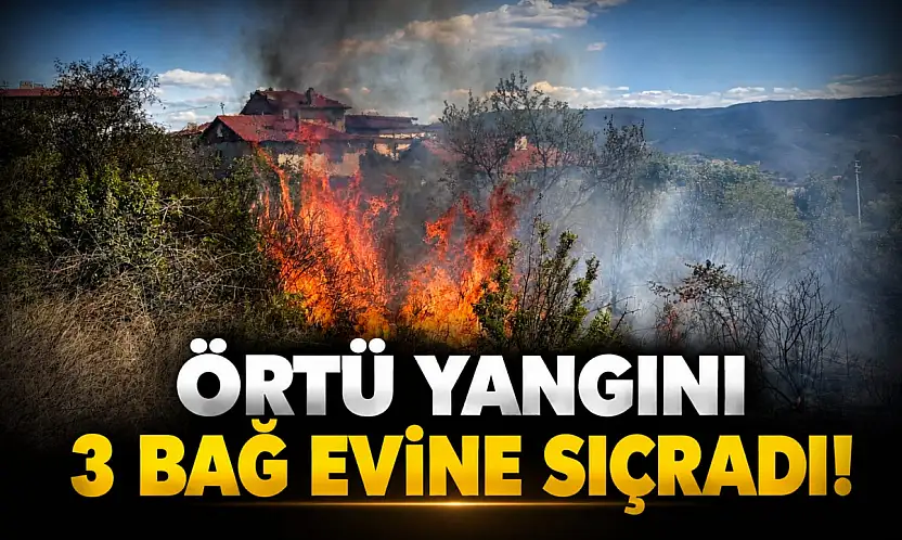 Örtü Yangını 3 Bağ Evine Sıçradı