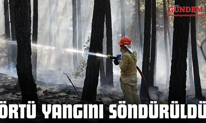 Örtü Yangını Söndürüldü