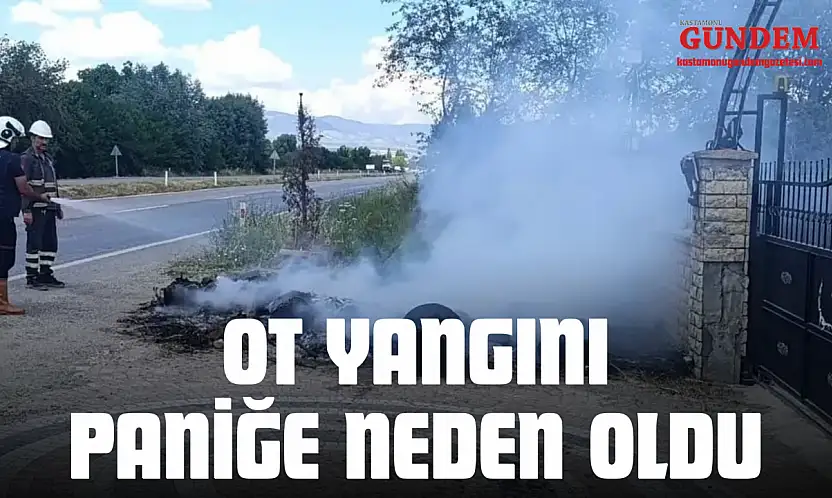 Ot Yangını Paniğe Neden Oldu