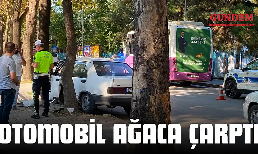 Otomobil Ağaca Çarptı