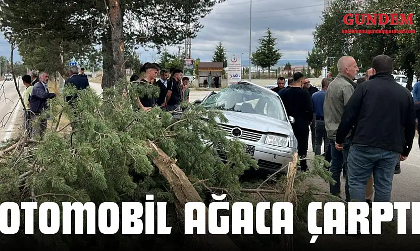 Otomobil Ağaca Çarptı