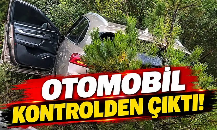 Otomobil Kontrolden Çıktı!
