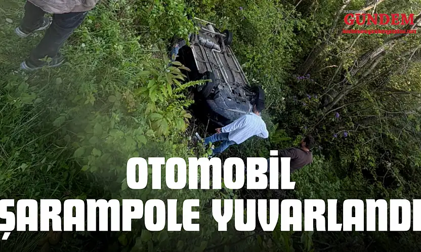 Otomobil Şarampole Yuvarlandı: 2 Yaralı!