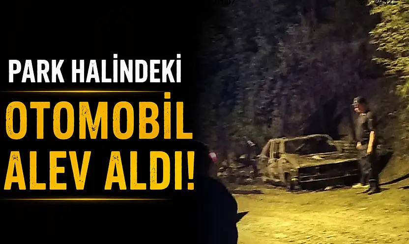 Park Halindeki Otomobil Alev Aldı