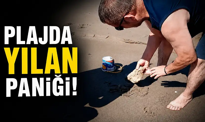 Plajda Yılan Paniği!