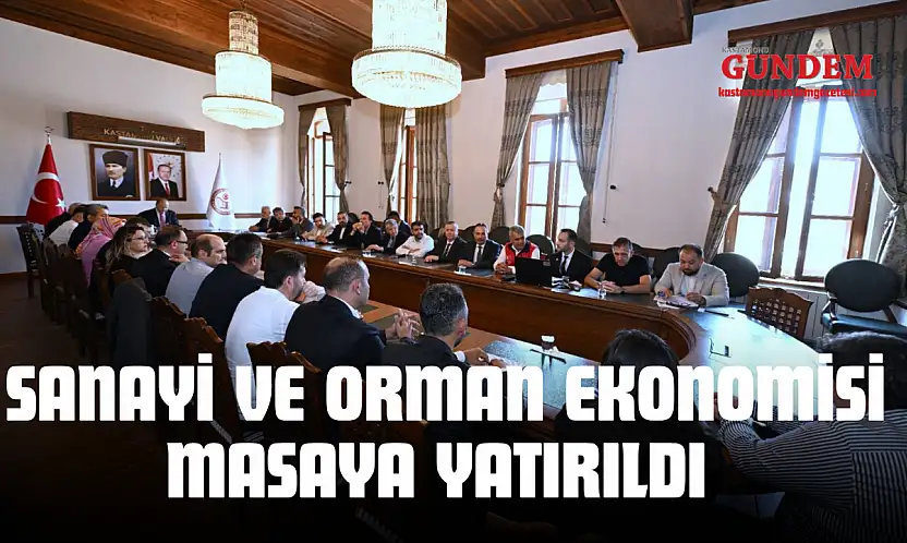 Sanayi Ve Orman Ekonomisi Masaya Yatırıldı