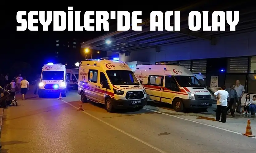 Seydiler'de Acı Olay