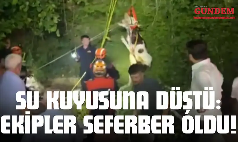 Su Kuyusuna Düştü: Ekipler Seferber Oldu!