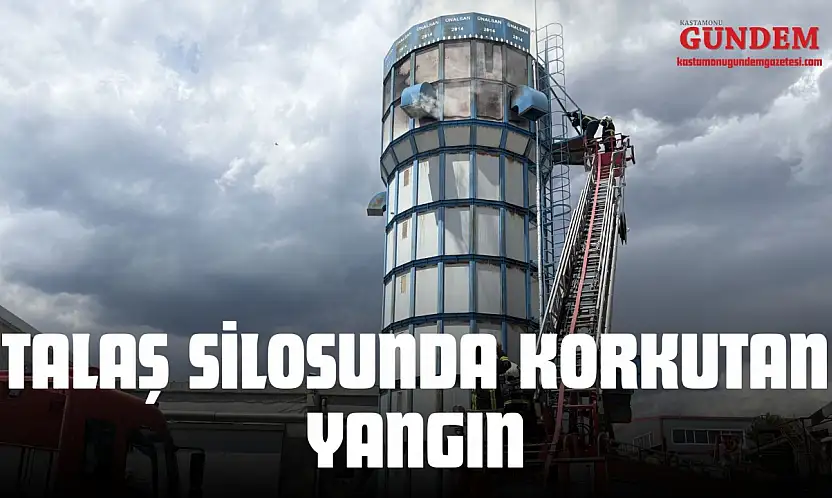 Talaş Silosunda Korkutan Yangın