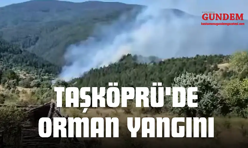 Taşköprü'de Orman Yangını