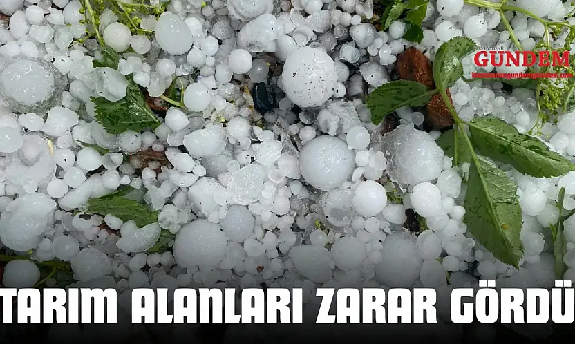 Taşköprü'de Tarım Alanları Zarar Gördü