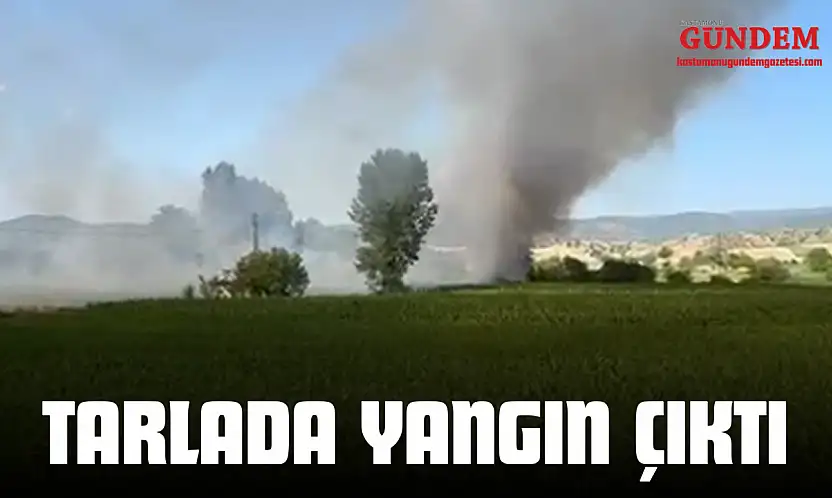 Taşköprü'de Tarlada Yangın Çıktı!
