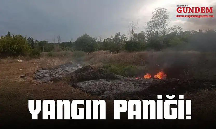 Taşköprü'de Yangın Paniği!