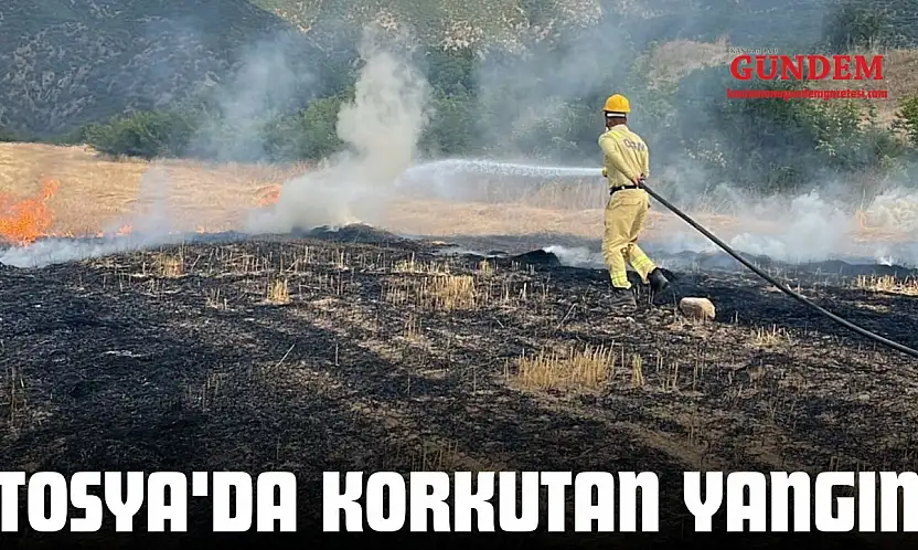 Tosya'da Korkutan Yangın