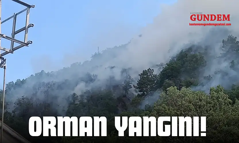 Tosya'da Orman Yangını!