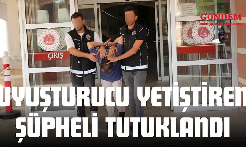 Uyuşturucu Yetiştiren Şüpheli Tutuklandı