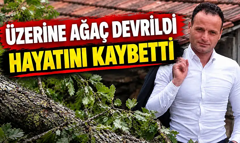 Üzerine Ağaç Devrildi, Hayatını Kaybetti