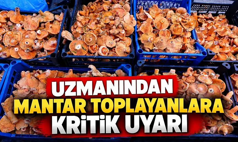 Uzmanından Mantar Toplayanlara Kritik Uyarı