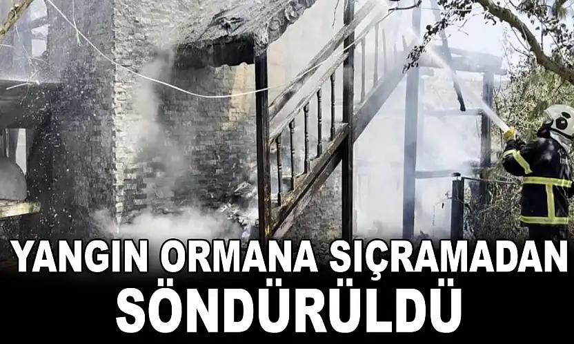 Yangın Ormana Sıçramadan Söndürüldü