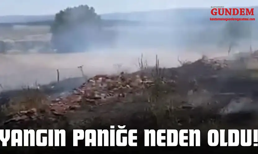 Yangın Paniğe Neden Oldu!