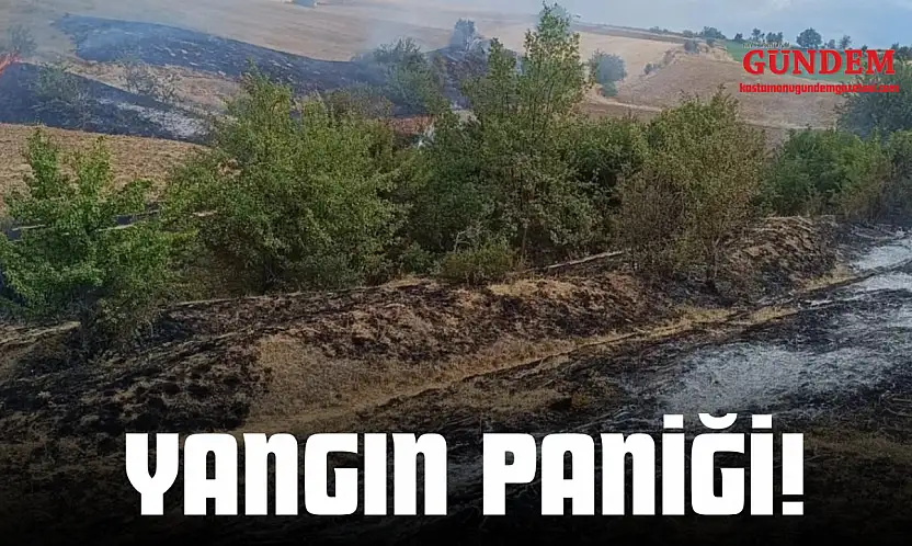 Yangın Paniği!